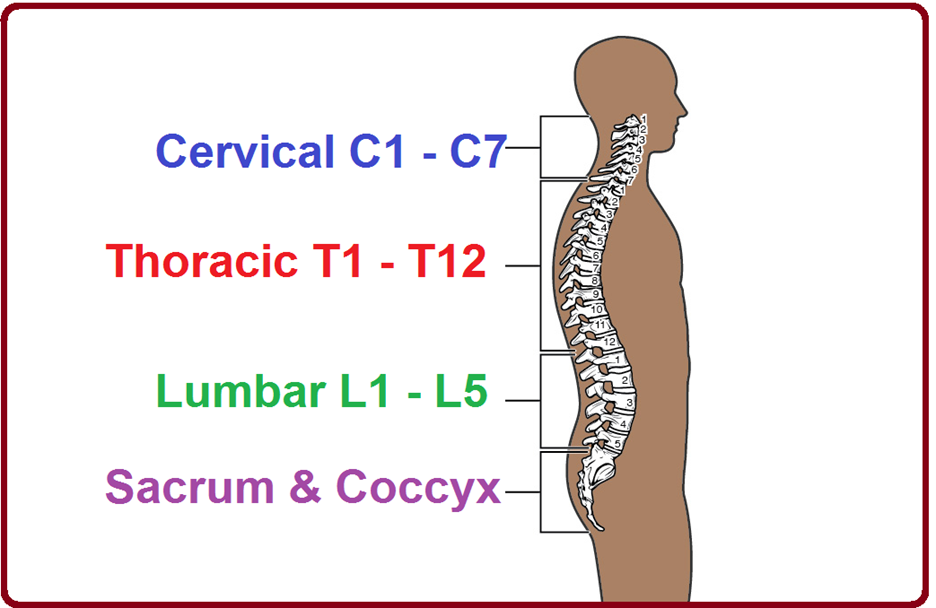 spine disc injury treatment surgery in panchkula dr anand jindal best surgeon in panchkula